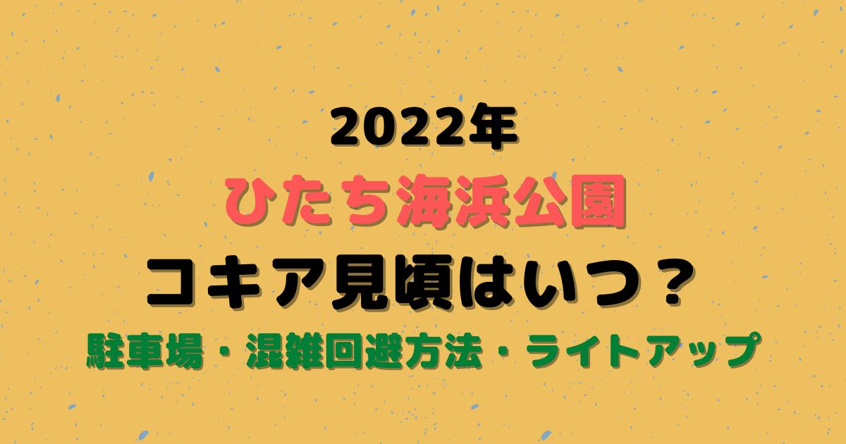 ひたち海浜公園コキア22見頃は 駐車場 混雑についても Eko Blog