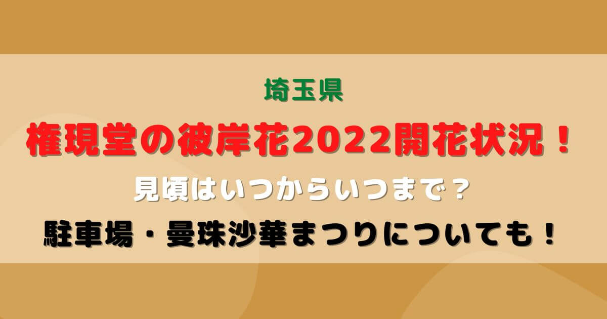 権現堂の彼岸花22開花状況 見頃や駐車場 曼珠沙華まつりについても Eko Blog